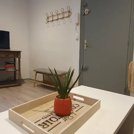 Sur Les Paves Du Pont Vieux... * Carcassonne